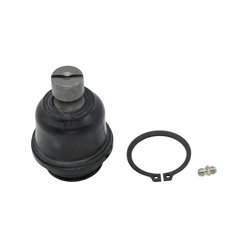 Rotula Inferior QX80 14-20