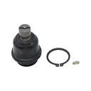 Rotula Inferior QX80 14-20