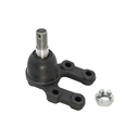Rotula Inferior Cabstar 08-15