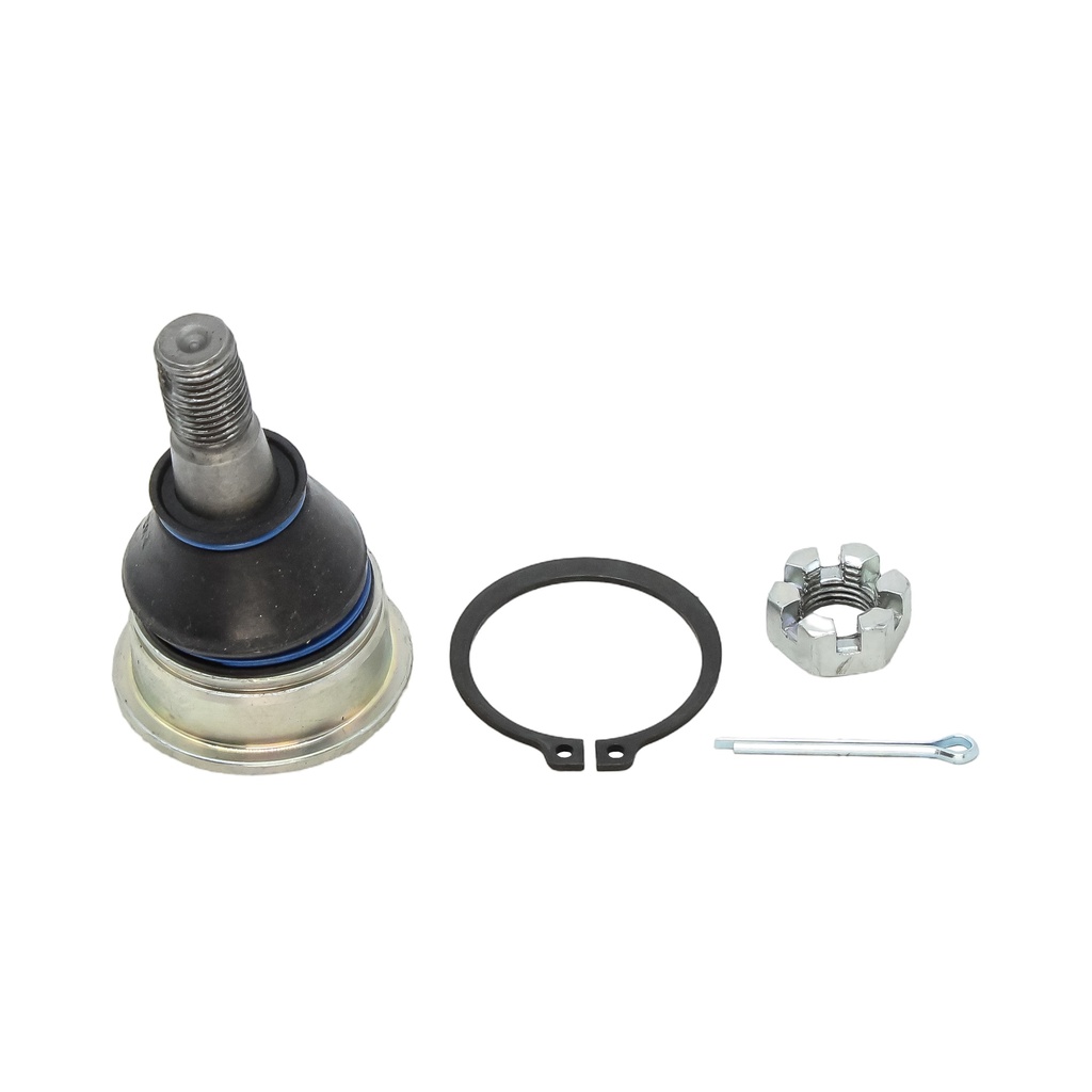 Rotula Inferior S Cross 15-23