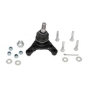 Rotula Superior Izquierdo Prerunner 95-04