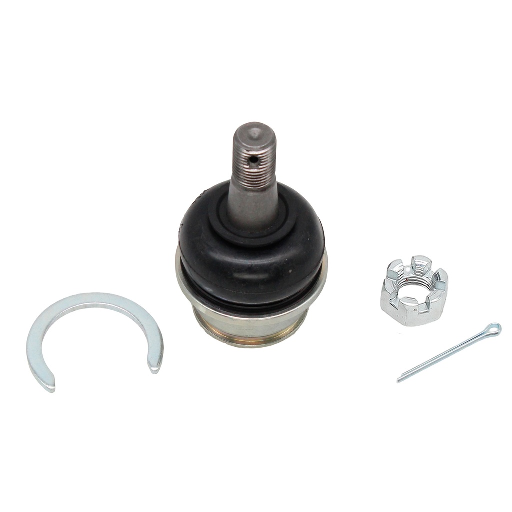 Rotula Inferior Frison T6 24-25