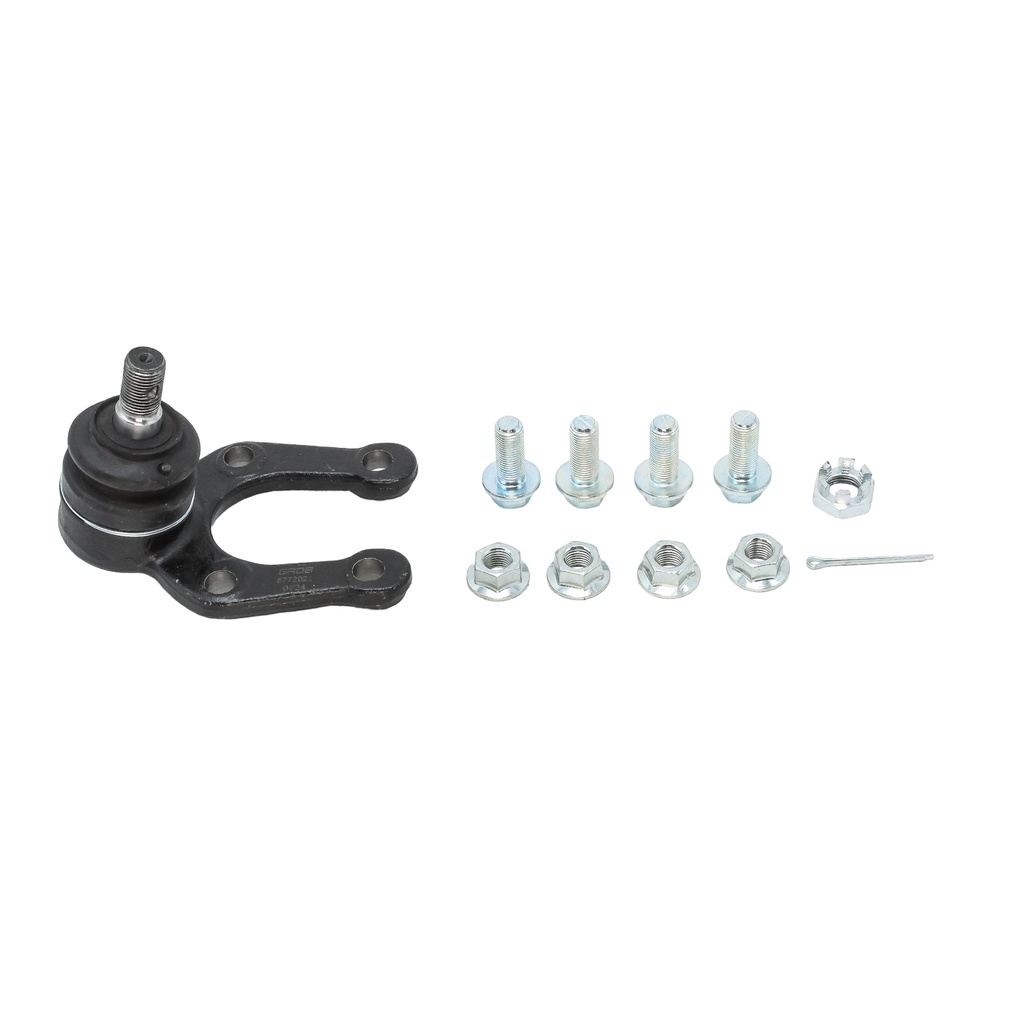 Rotula Inferior T100 93-98