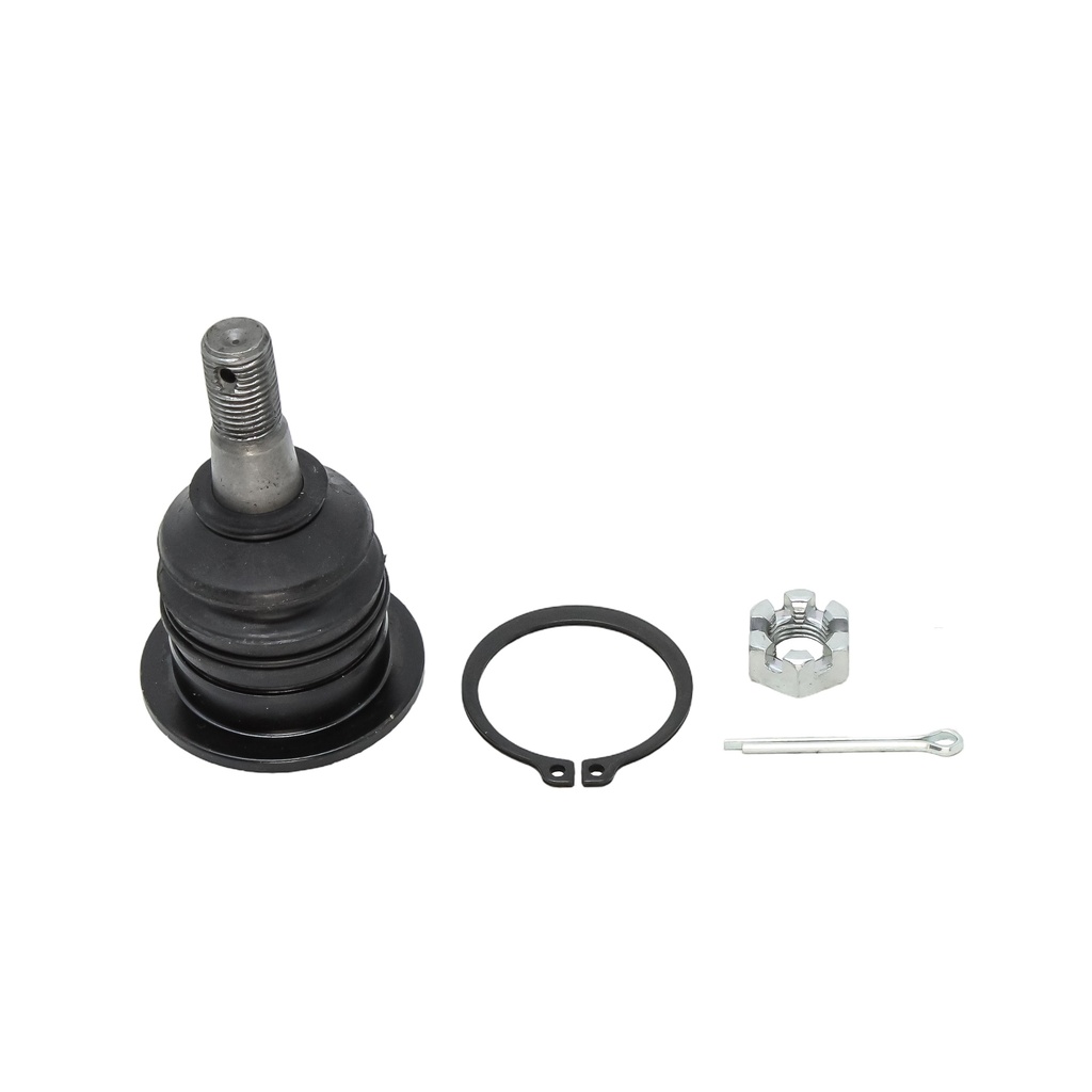 Rotula Superior Prerunner 05-19