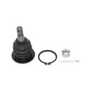 Rotula Superior Prerunner 05-19