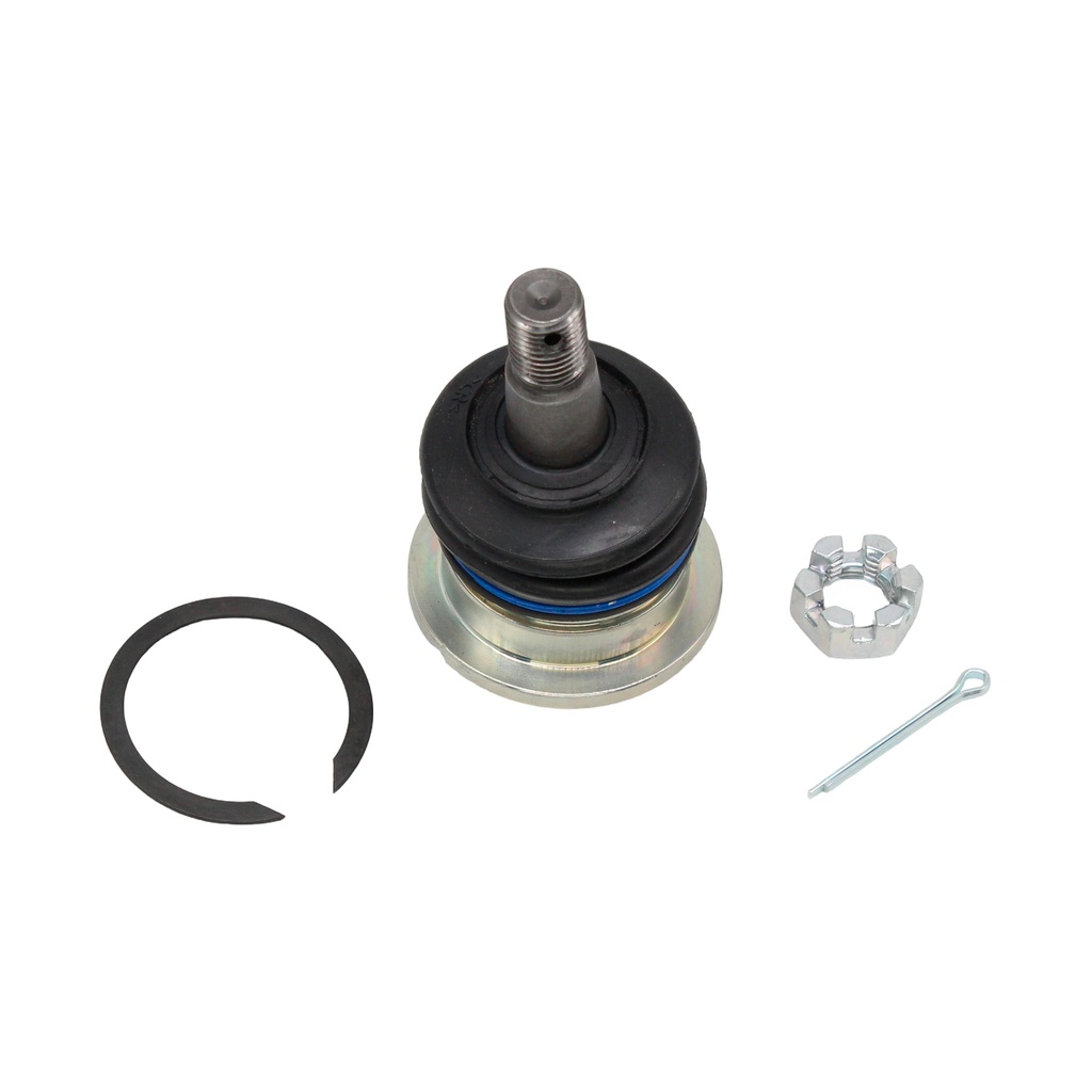 Rotula Superior 4-Runner 03-19