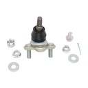 Rotula Inferior Rav 4 19-23
