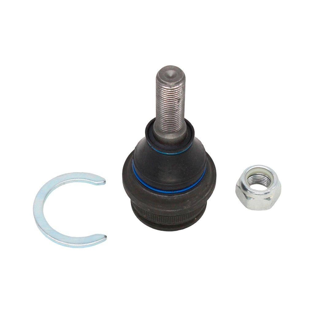 Rotula Superior Eurovan 01-04