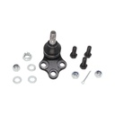 Rotula Inferior QX4 01-03