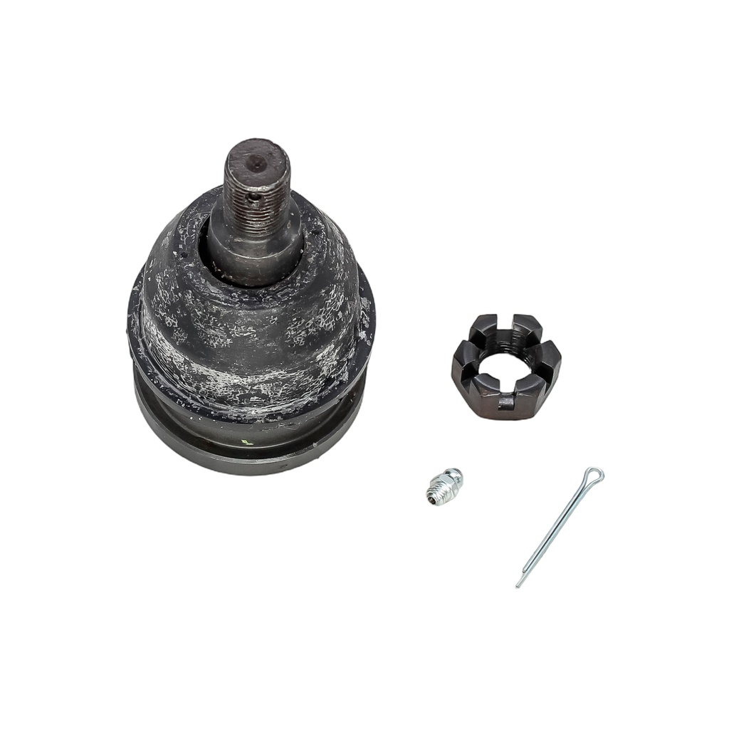Rotula Inferior P-30 73-96