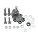 Rotula Inferior C-1500 00-09