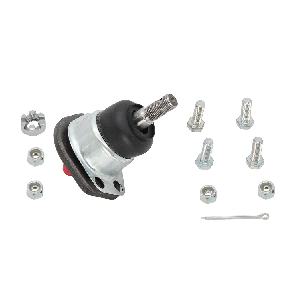 Rotula Superior C-10 60-62