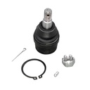 Rotula Inferior Ram Charger 97-99