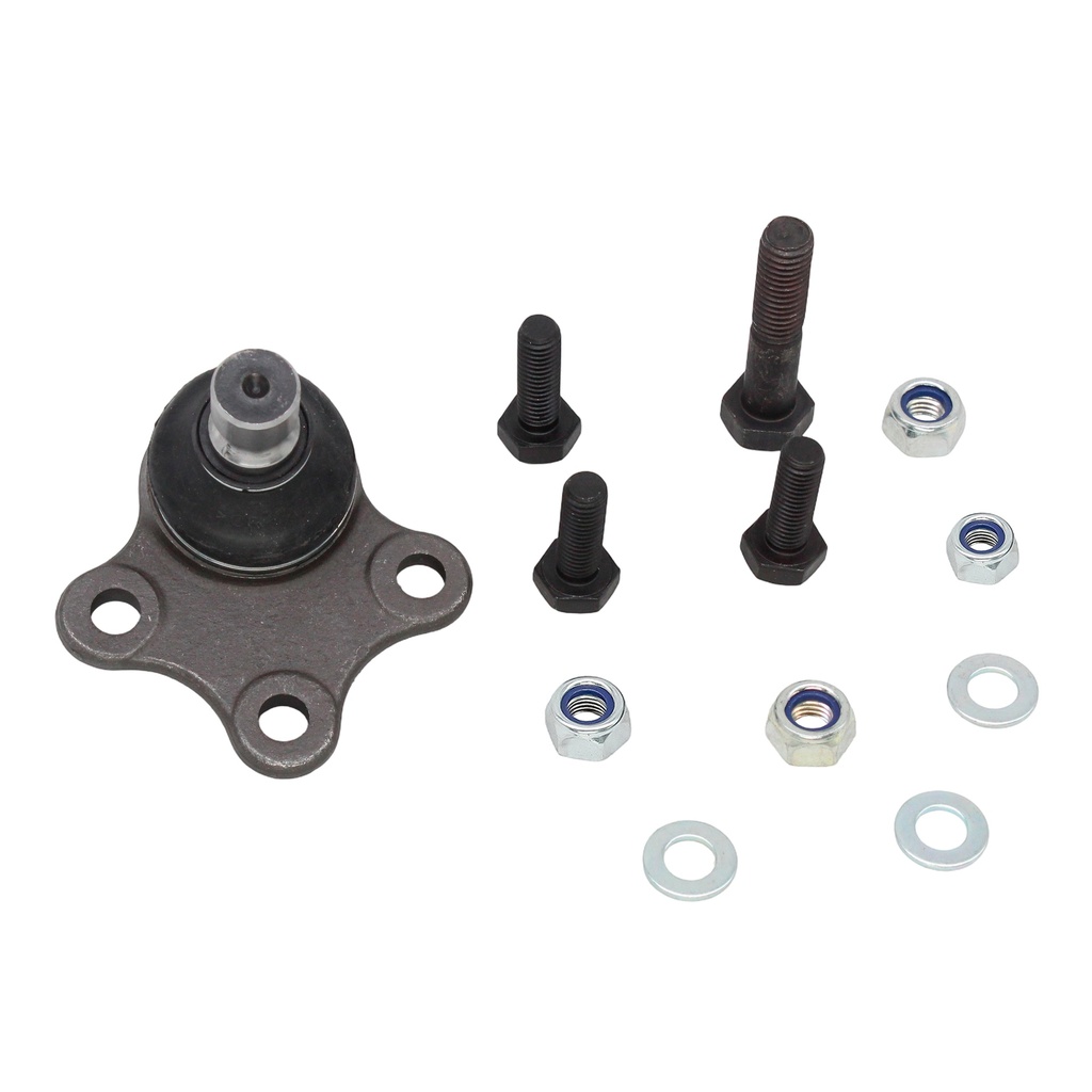 Rotula Inferior Contour 95-01