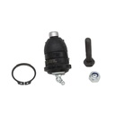 Rotula Inferior Tercel 80-82