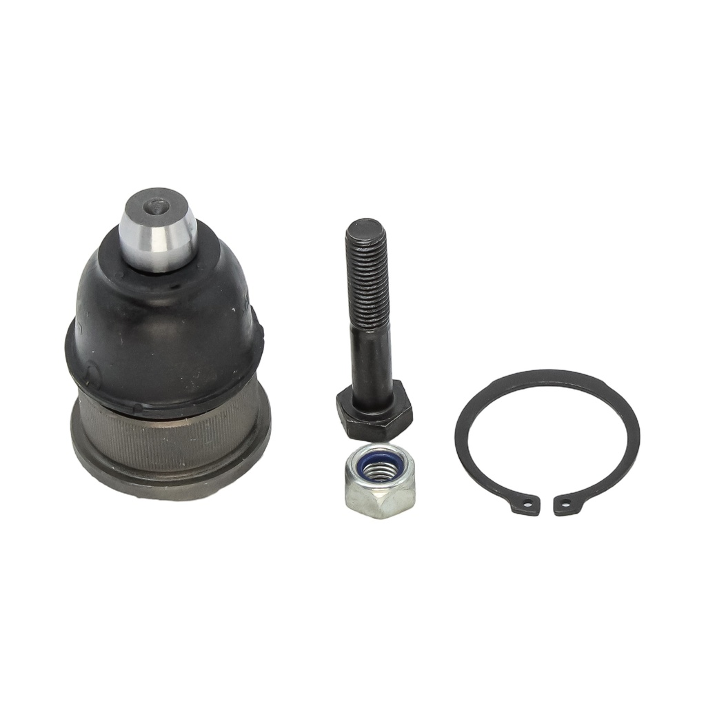 Rotula Inferior Probe 89-97