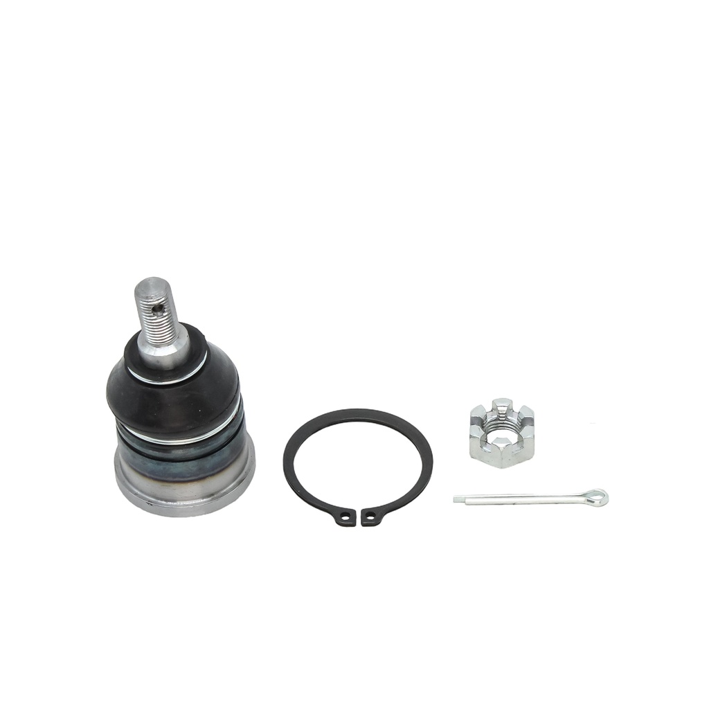 Rotula Inferior CL 97-03