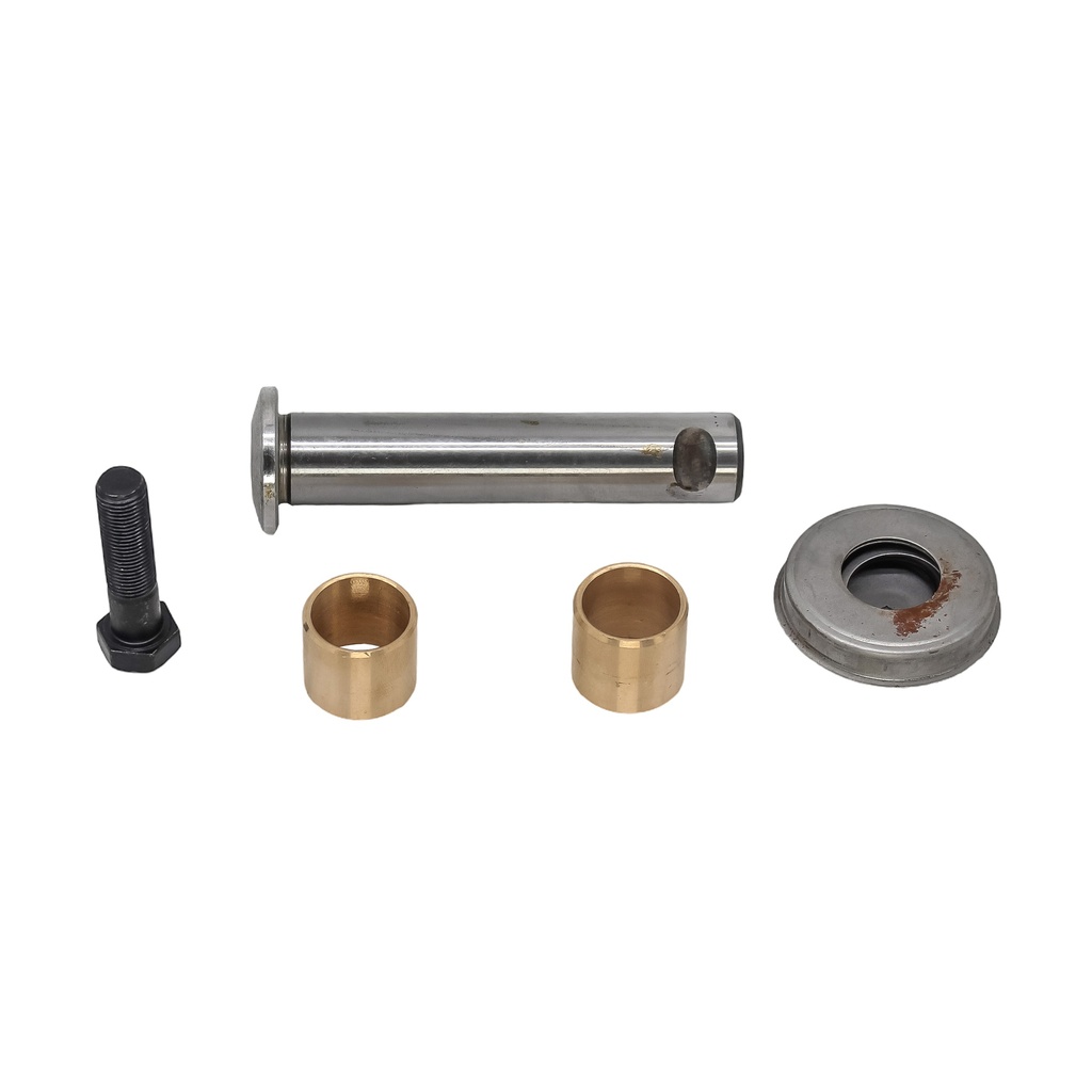 Perno de Direccion Delantero Combi 73-01
