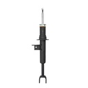 Amortiguador Trasero (F12) (F13) 650i 12-14