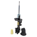 Amortiguador Delantero Izquierdo C/Tope Odyssey 11-12