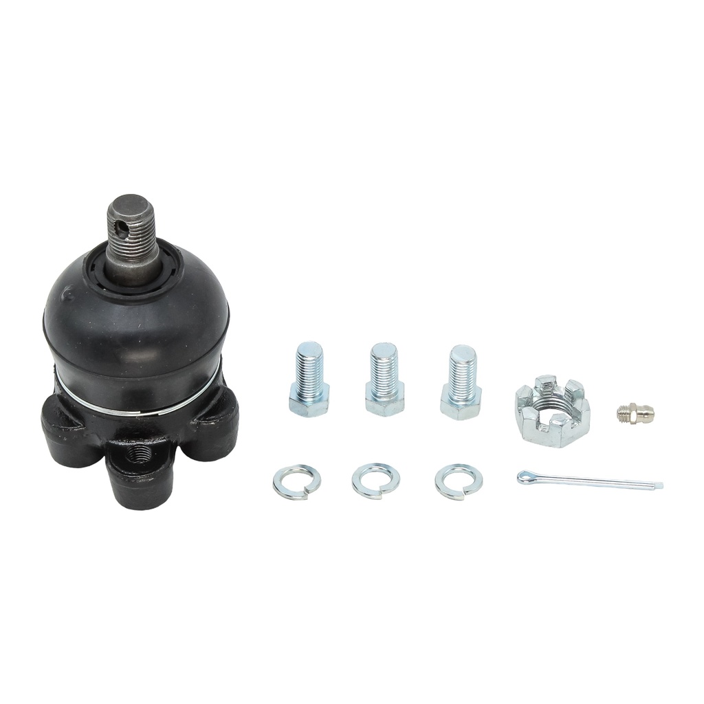 Rotula Superior H-100 03-07