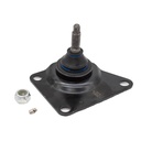 Rotula Trasero Grand Cherokee 99-04