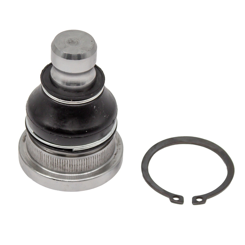 Rotula Inferior Caliber 07-11