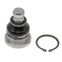 Rotula Inferior Caliber 07-11