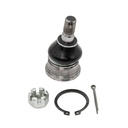 Rotula Inferior 200SX 95-99