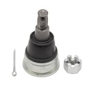 Rotula Inferior CR-V 02-06
