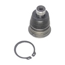 Rotula Inferior Kwid 17-25