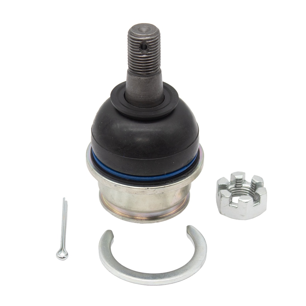 Rotula Inferior Frison T6 24-25