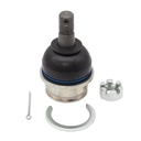 Rotula Inferior Frison T6 24-25