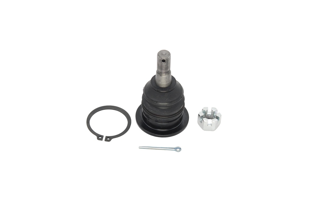 Rotula Superior Frison T6 24-25