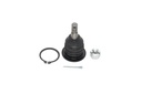 Rotula Superior Frison T6 24-25