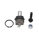 Rotula Superior E-150 92-06