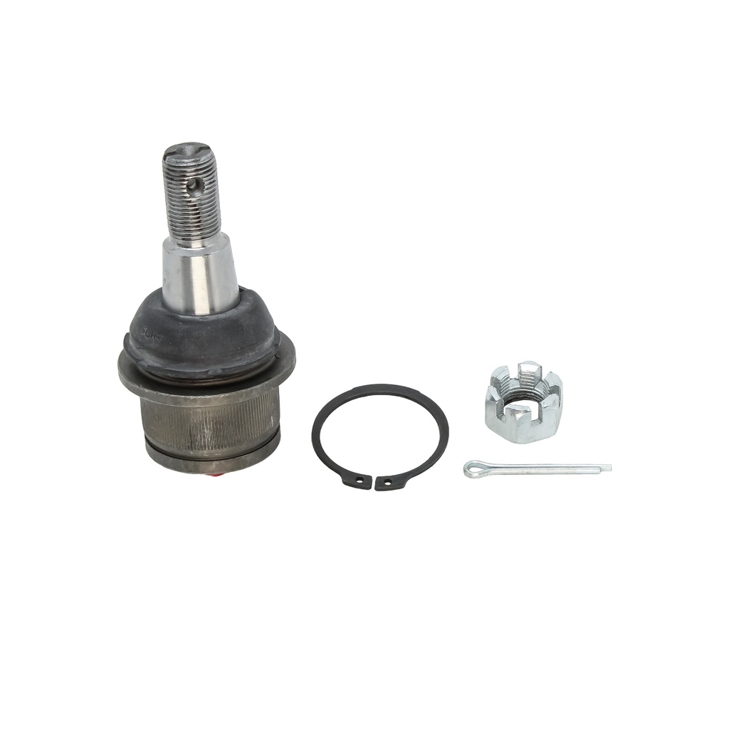 Rotula Inferior E-550 92-06