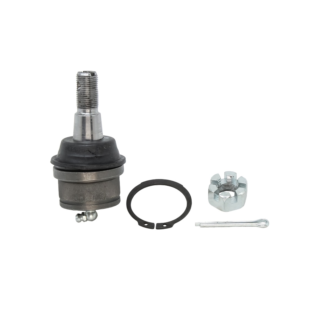 Rotula Inferior E-150 92-12