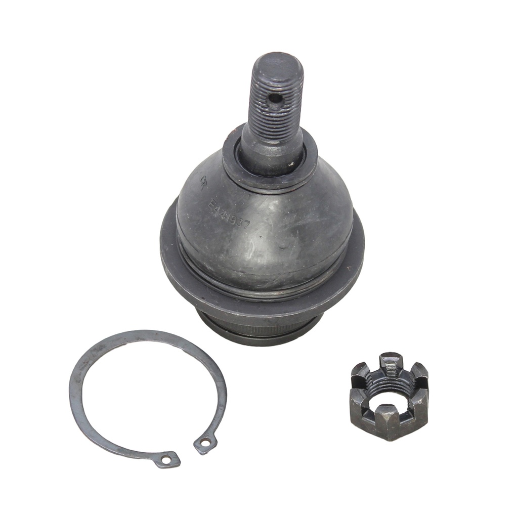 Rotula Inferior Expedition 97-02