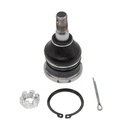 Rotula Superior 4-Runner 96-02