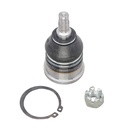 Rotula Inferior CL 97-03