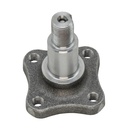 Espiga Trasero Kwid 17-25