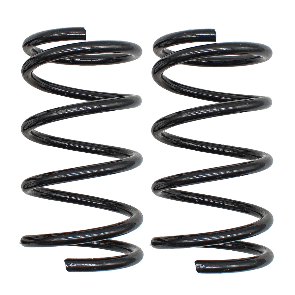 Resorte Trasero Rav 4 01-05