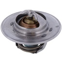 Termostato MotoRad 300-160