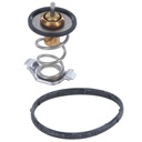 Termostato MotoRad 724-203
