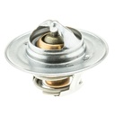 Termostato MotoRad 300-195