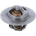 Termostato MotoRad 200-195