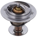 Termostato MotoRad 655-190