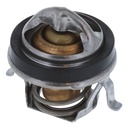 Termostato MotoRad 306-192