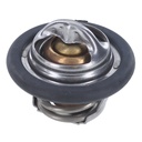Termostato MotoRad 699-180